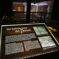 Visita guiada a la Casa dels Dofins i la Casa de l'Heura 10:30 h