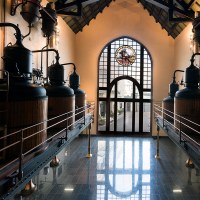 Visita guiada a la fàbrica de l'Anís del Mono 12 h