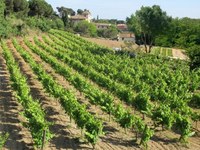 Comença la 4a edició del Va de Novel·la Històrica a Badalona