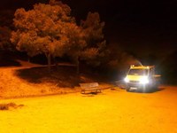 L’Ajuntament de Badalona combat la plaga de la processionària del pi