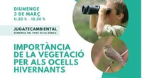 Aquest diumenge, 3 de març, al parc del Torrent de la Font i del Turó de l’Enric de Badalona es farà el taller Importància de la vegetació per als ocells hivernants