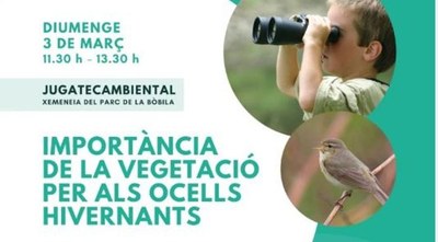 Aquest diumenge, 3 de març, al parc del Torrent de la Font i del Turó de l’Enric de Badalona es farà el taller Importància de la vegetació per als ocells hivernants.