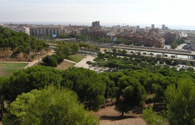 El turó d’en Caritg acull, aquest divendres, la Badaorientació una activitat del Badasport que promou la pràctica de l’esport escolar a la ciutat.