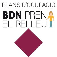 Entre el 5 i el 7 de juny s’obre la convocatòria per a la contractació laboral d’11 persones menors de 30 anys en situació d’atur
