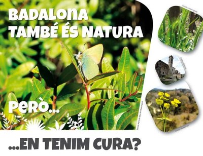 Les escoles verdes de Badalona celebren el Dia Internacional del Medi Ambient amb la presentació de la campanya “Badalona també és natura! Però... en tenim cura?”.