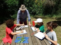 Activitats als parcs de Can Solei i Ca l’Arnús i del Torrent de la Font i del Turó de l’Enric de Badalona per aquest diumenge 9 de juny