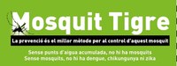 L’Ajuntament inicia la campanya informativa sobre el mosquit tigre