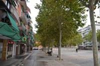 Continuen les fumigacions als plataners i als oms de Badalona