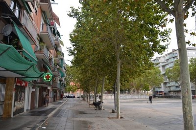 Continuen les fumigacions als plataners i als oms de Badalona.