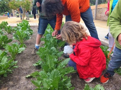 Activitats programades als parcs de Can Solei i Ca l’Arnús i del Torrent de la Font i del Turó de l’Enric de Badalona per aquest diumenge 3 de novembre.