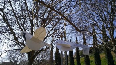 Activitats programades per aquest diumenge, 10 de novembre, als parcs de Can Solei i Ca l’Arnús i del Torrent de la Font i del Turó de l’Enric de Badalona.