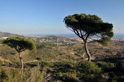 Demà es presenta una nova edició de la cursa nocturna de muntanya Bada Trail de Badalona.