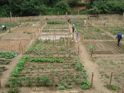 L'Ajuntament recomana a les persones usuàries dels horts municipals que no hi vagin per evitar contagis durant l'epidèmia del coronavirus.