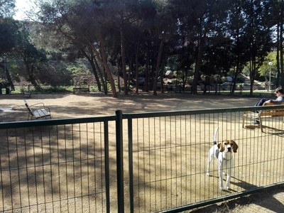 L’Ajuntament de Badalona ofereix suport als propietaris d’animals de companyia durant l’estat d’alarma per la crisi del coronavirus.