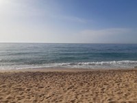 La pràctica d'activitats aquàtiques per a esportistes federats i no federats està permesa a Badalona amb les limitacions imposades pel ministeri de Sanitat