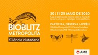 Badalona participa aquest cap de setmana en el 3r Bioblitz Metropolità de recerca sobre la fauna i la flora de la xarxa de parcs i platges metropolitanes