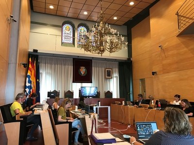 Resum dels acords del Ple de l’Ajuntament de Badalona del 30 de juny de 2020.