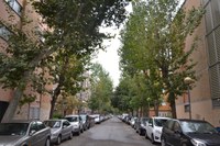 L’Ajuntament de Badalona inicia una campanya extraordinària de fumigacions als plataners i als oms de la ciutat per acabar amb les plagues d’insectes que s’han detectat en algunes zones