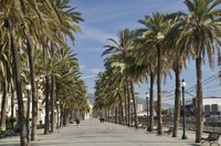 L’Ajuntament organitza per a la gent gran l’activitat “Passejades per la ciutat”