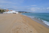 A partir d’avui, coincidint amb l’acabament de la temporada de bany, ja es podrà passejar amb els animals domèstics a les platges de Badalona