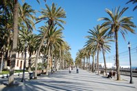 Oberta la inscripció per a l’activitat “Rutes plenes d'Història” dirigida a la gent gran de Badalona