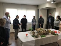 D’oli a la pica, ni mica! III