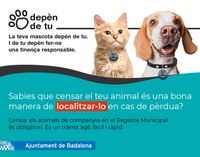 L’Ajuntament de Badalona inicia una campanya informativa sobre la tinença responsable d’animals