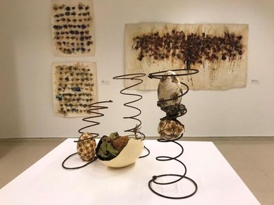 HerbArt: botànica i creació artística és la nova exposició al Centre Cultural El Carme de Badalona.