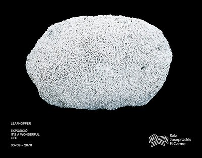 L’exposició gràfica It’s a wonderful life arriba al Centre Cultural El Carme de Badalona.