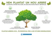 Badalona renovarà un miler d’arbres en la campanya 2021-2022