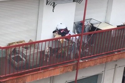 L’Ajuntament de Badalona decomissa un gos maltractat.