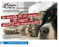 L’Ajuntament de Badalona presenta la campanya de sensibilització “Les mascotes NO són joguines”