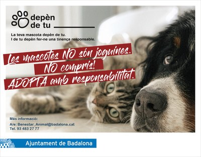 L’Ajuntament de Badalona presenta la campanya de sensibilització “Les mascotes NO són joguines”.