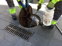 L’Ajuntament de Badalona inicia la campanya de tractament preventiu de paneroles i rosegadors a la xarxa de clavegueram de la ciutat