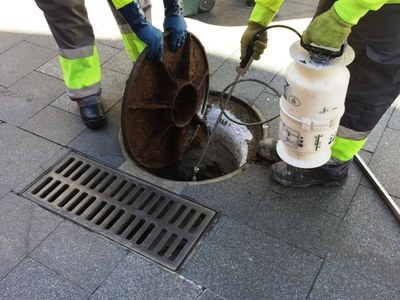 L’Ajuntament de Badalona inicia la campanya de tractament preventiu de paneroles i rosegadors a la xarxa de clavegueram de la ciutat.