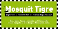 L’Ajuntament de Badalona posa en marxa la campanya de prevenció del mosquit tigre i n’amplia les zones de risc