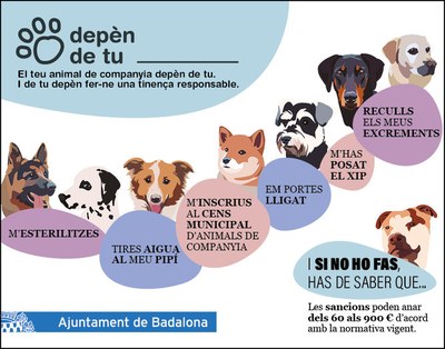 Campanya informativa per promoure una tinença responsable dels animals de companyia.