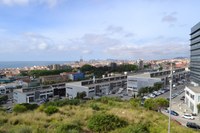 El 60% de les empreses constituïdes amb l'assessorament de l'Ajuntament de Badalona continuen funcionant 3 anys després de la seva creació