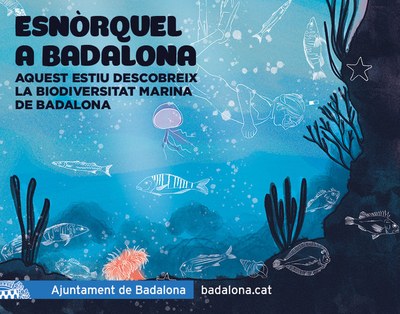 L’Ajuntament de Badalona ofereix aquest estiu sortides d'esnòrquel a la platja guiades per experts.