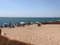 Entra en funcionament la platja de gossos de Badalona