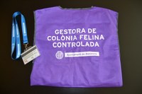L'Ajuntament de Badalona ha engegat un projecte d'identificació de les colònies controlades urbanes de gats