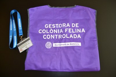 L'Ajuntament de Badalona ha engegat un projecte d'identificació de les colònies controlades urbanes de gats.