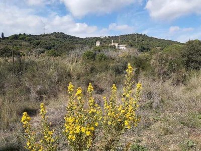 La masia de Can Miravitges i l'Escola de Natura Angeleta Ferrer acullen una nova edició de 'La primavera a la serralada de Marina'.