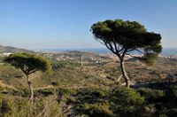 830 alumnes de 10 instituts badalonins participen el pròxim dijous 27 d’abril en una activitat esportiva d’orientació