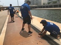 L’Ajuntament de Badalona i Marina Badalona acorden mesures urgents per solucionar el problema causat per la presència d’insectes voladors al canal