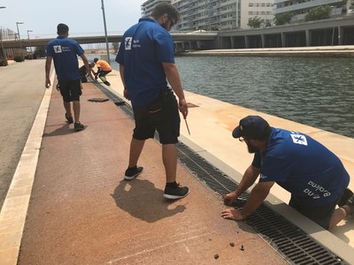 L’Ajuntament de Badalona i Marina Badalona acorden mesures urgents per solucionar el problema causat per la presència d’insectes voladors al canal.