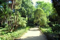 Activitats programades als parcs de Can Solei i de Ca l’Arnús i del Torrent de la Font i del Turó de l’Enric de Badalona per aquest diumenge 8 d’octubre