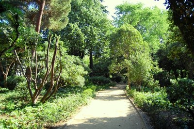 Activitats programades als parcs de Can Solei i de Ca l’Arnús i del Torrent de la Font i del Turó de l’Enric de Badalona per aquest diumenge 8 d’octubre.