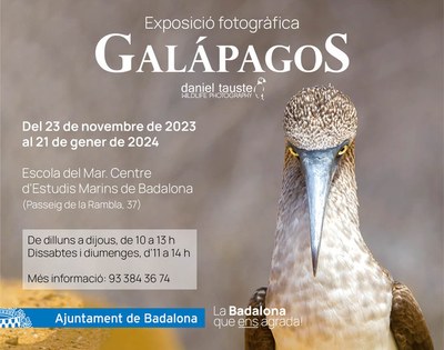 L’Escola del Mar, Centre d’Estudis Marins de Badalona, acull l’exposició fotogràfica “Galápagos” de Daniel Tauste.