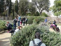 El parc de Can Solei i Ca l’Arnús serà l’escenari del concurs fotogràfic Biomarató – City Nature Challenge 2018 per aprofundir en el coneixement de la biodiversitat